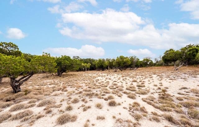 LOT 28  Rio Cordillera, Boerne, TX 78006 — photo 11