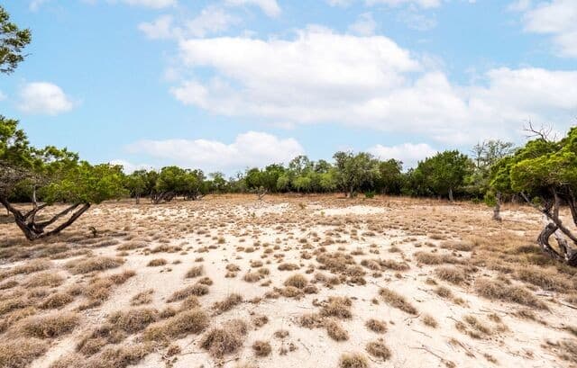 LOT 28  Rio Cordillera, Boerne, TX 78006 — photo 12