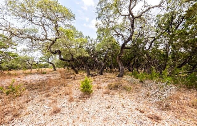 LOT 28  Rio Cordillera, Boerne, TX 78006 — photo 4