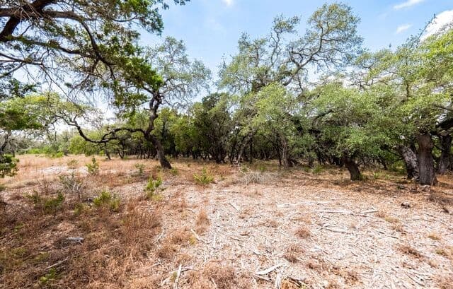 LOT 28  Rio Cordillera, Boerne, TX 78006 — photo 6