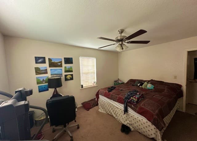 279  Edwards Ave, Charlotte, TX 78011 — photo 7