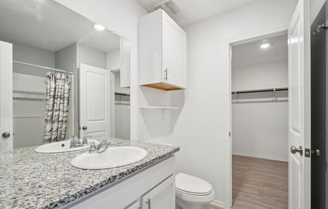 6636  Scarecrow, San Antonio, TX 78252 — photo 23