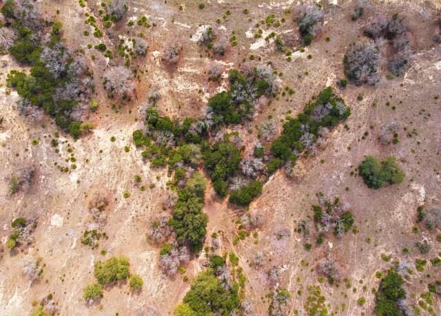 496  Red Stag, Pipe Creek, TX 78003 — photo 6