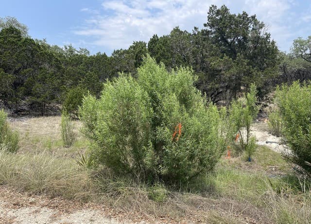908  Serene, Spring Branch, TX 78070 — photo 2