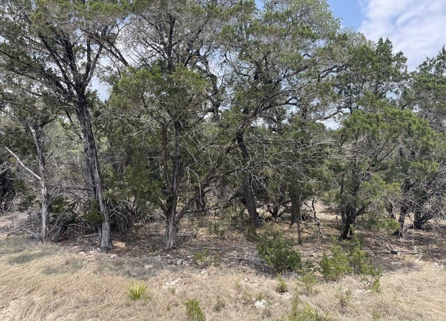 908  Serene, Spring Branch, TX 78070 — photo 3