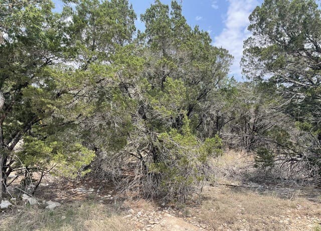 908  Serene, Spring Branch, TX 78070 — photo 4