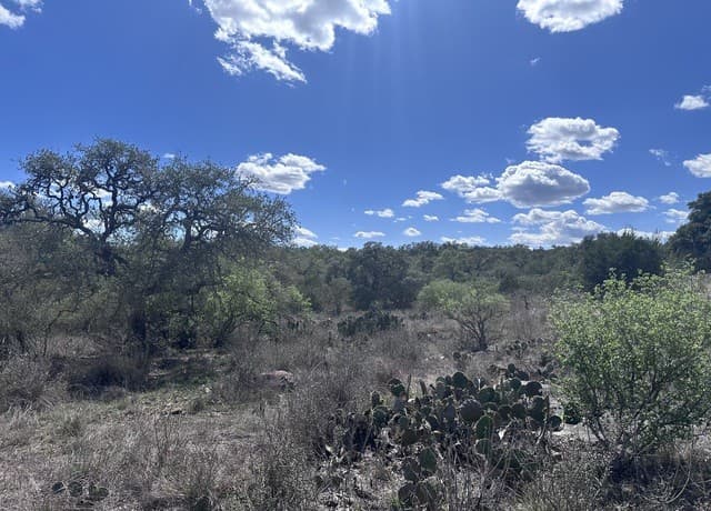 119  Cartama, Spring Branch, TX 78070