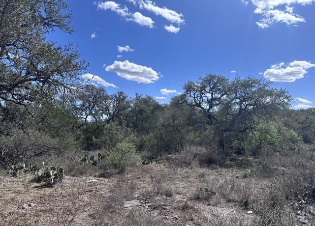 119  Cartama, Spring Branch, TX 78070 — photo 4