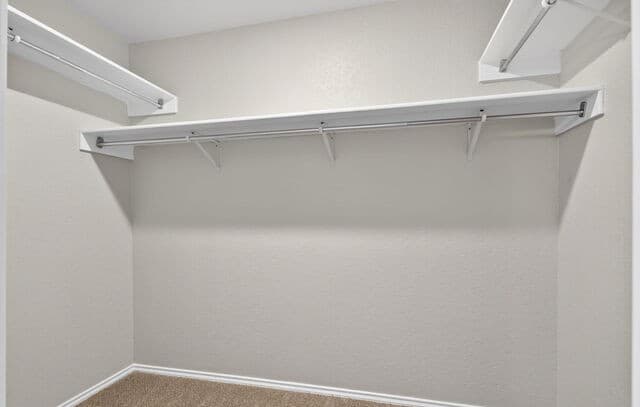 16103  Branding Pass, San Antonio, TX 78247 — photo 18