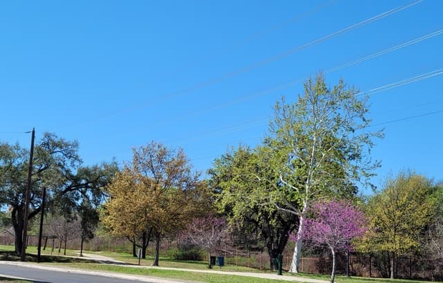 2134  Aransas Ave, San Antonio, TX 78220 — photo 10