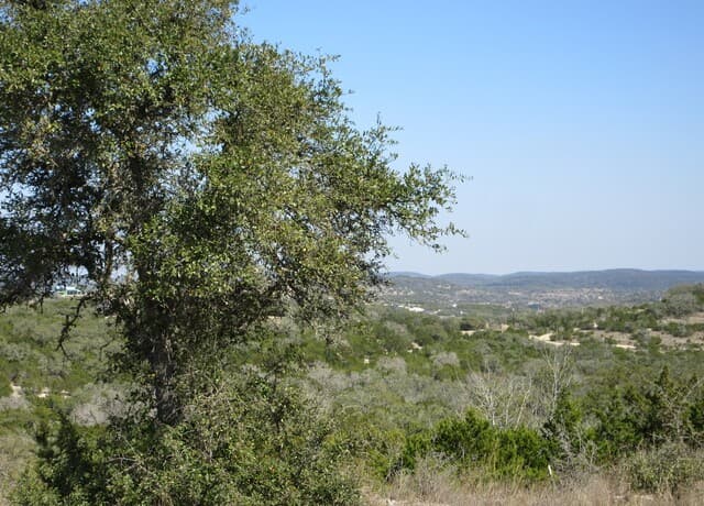 LOT 13 Canyon Rim