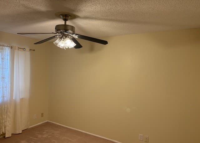 6103  Forest Timber, San Antonio, TX 78240 — photo 12