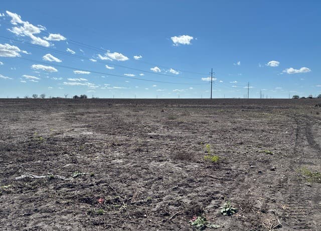 203  Farmhouse, Marion, TX 78124 — photo 4