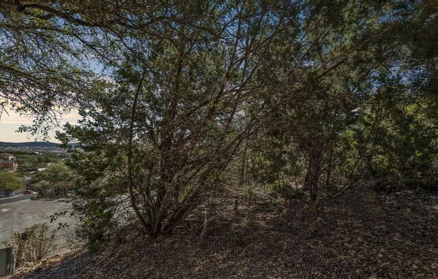 11232  Cave Creek, Helotes, TX 78023 — photo 4