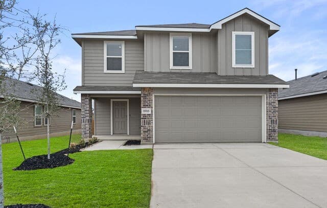 15515 Mint Patch Meadow