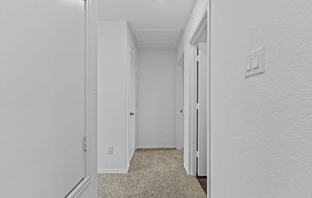 14706  Candelabra Cactus, San Antonio, TX 78221 — photo 12