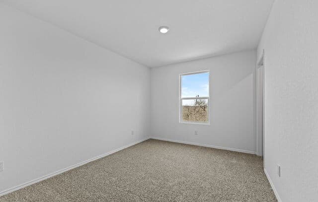 14706  Candelabra Cactus, San Antonio, TX 78221 — photo 13