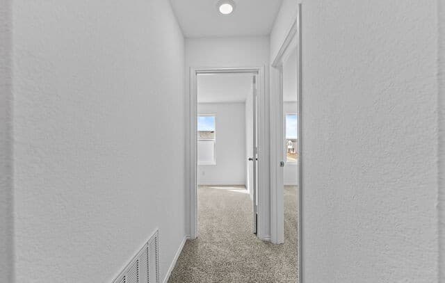 14706  Candelabra Cactus, San Antonio, TX 78221 — photo 17