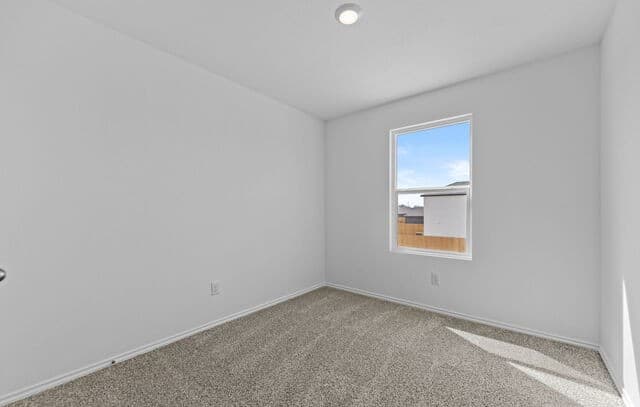 14706  Candelabra Cactus, San Antonio, TX 78221 — photo 18