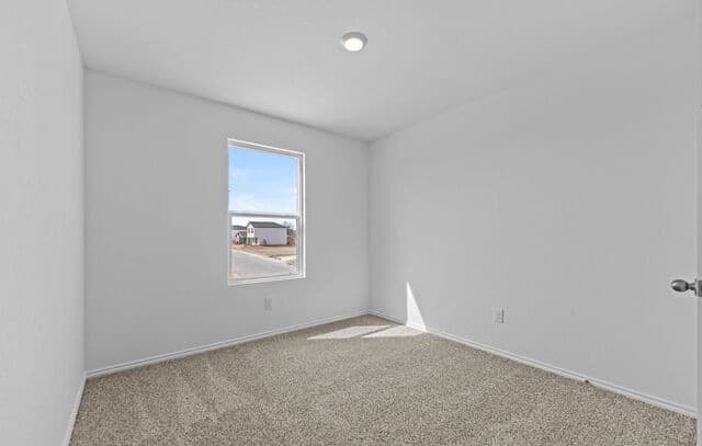 14706  Candelabra Cactus, San Antonio, TX 78221 — photo 20