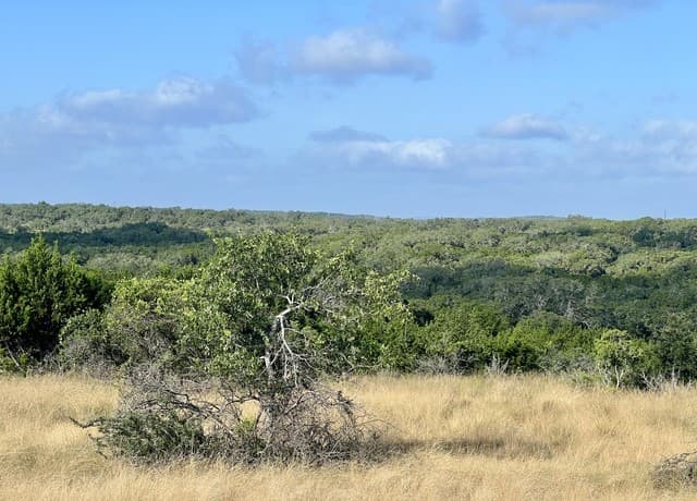 406  Plantation Path, Boerne, TX 78006 — photo 2