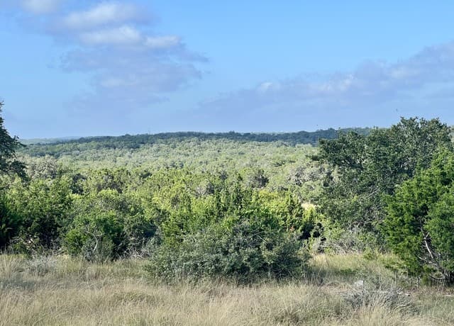 406  Plantation Path, Boerne, TX 78006 — photo 7
