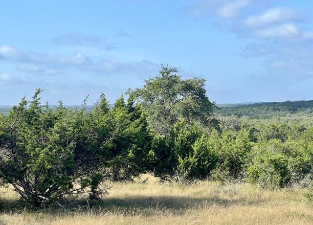 406  Plantation Path, Boerne, TX 78006 — photo 8
