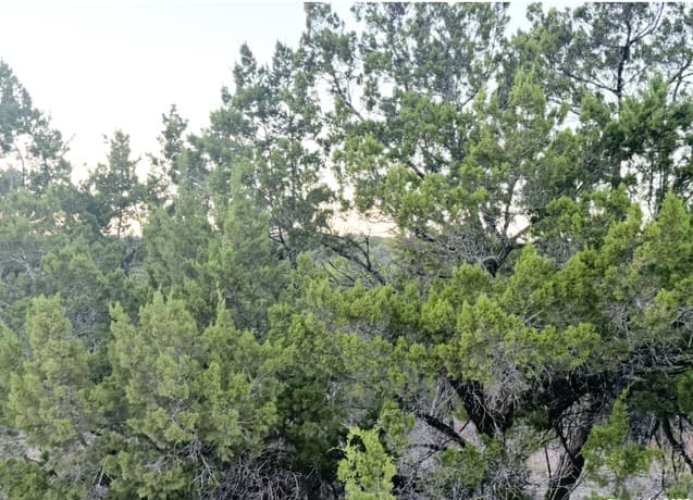 124  Camp Verde, Bandera, TX 78003 — photo 3