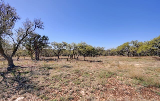 2803  Zenner Ahrens, Fredericksburg, TX 78624 — photo 10