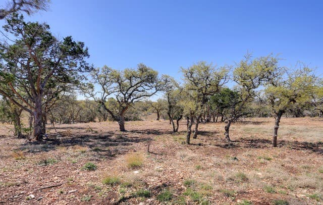 2803  Zenner Ahrens, Fredericksburg, TX 78624 — photo 11