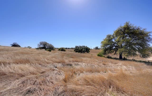 2803  Zenner Ahrens, Fredericksburg, TX 78624 — photo 14