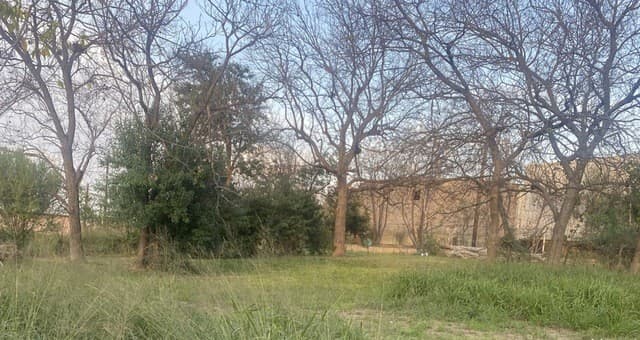 210  Dalton Alley, San Antonio, TX 78202 — photo 4