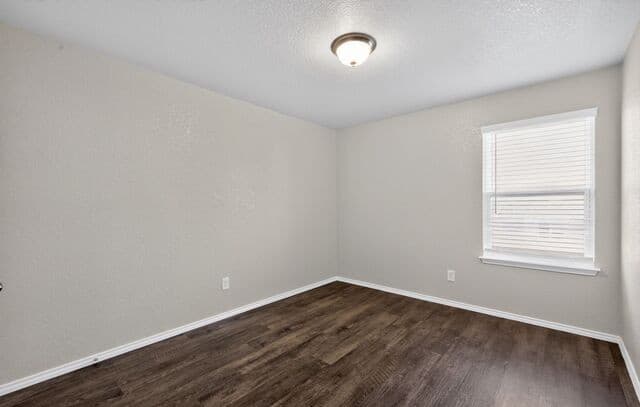 13003 Lineberry Ln, St Hedwig, TX 78152 — photo 6