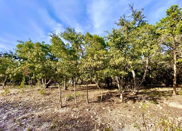 LOT 149  Private Road 1738, Mico, TX 78056 — photo 12