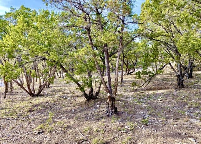 LOT 149  Private Road 1738, Mico, TX 78056 — photo 14