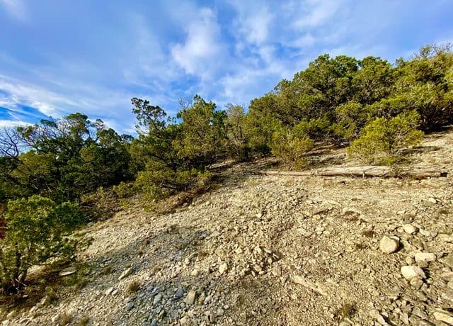LOT 149  Private Road 1738, Mico, TX 78056 — photo 18