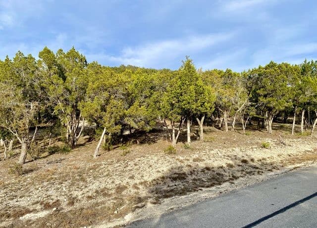 LOT 149  Private Road 1738, Mico, TX 78056 — photo 8