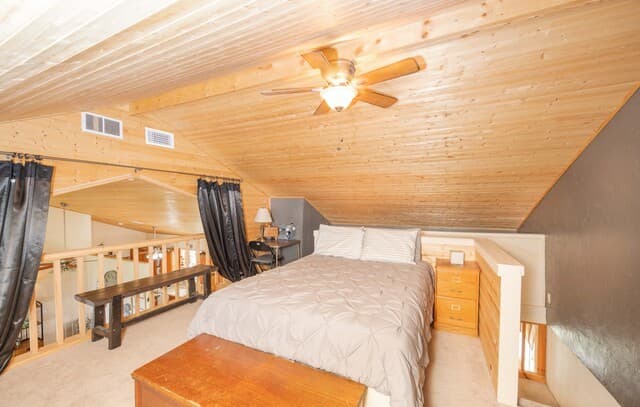 15980  County Road 582, LaCoste, TX 78039 — photo 11