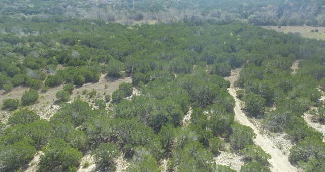 100  Manana, Blanco, TX 78606 — photo 11