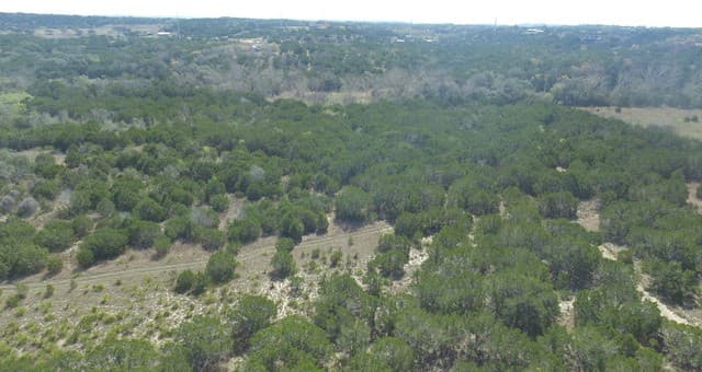 100  Manana, Blanco, TX 78606 — photo 6
