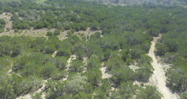 100  Manana, Blanco, TX 78606 — photo 9