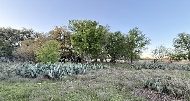 638  Cool Spring Drive, Spring Branch, TX 78070 — photo 11