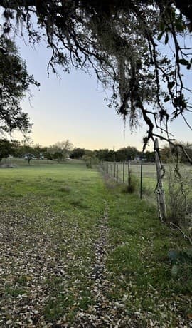 638  Cool Spring Drive, Spring Branch, TX 78070 — photo 12