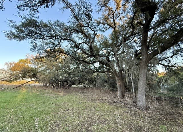 638  Cool Spring Drive, Spring Branch, TX 78070 — photo 4