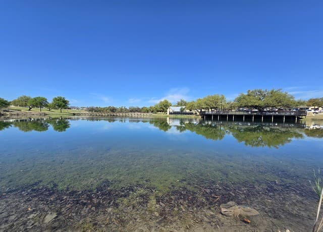 0  Hiram Cook, Blanco, TX 78606 — photo 17