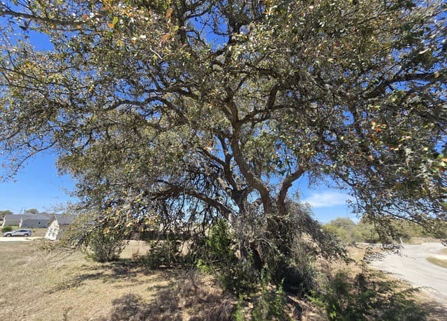 0  Hiram Cook, Blanco, TX 78606 — photo 6