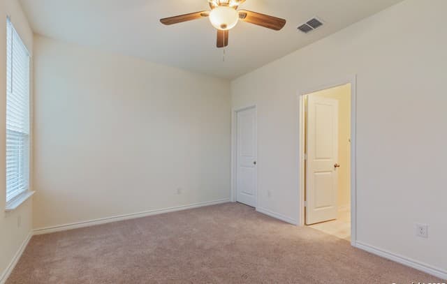 4179  Carraway St, New Braunfels, TX 78130 — photo 13