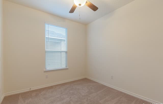4179  Carraway St, New Braunfels, TX 78130 — photo 17