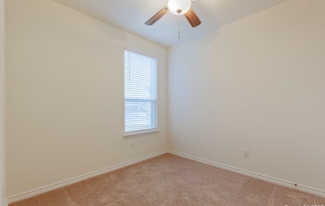 4179  Carraway St, New Braunfels, TX 78130 — photo 21