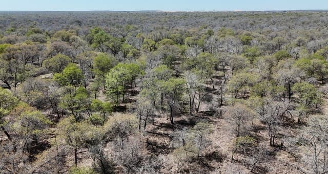 TBD  Trumbo Rd, Pleasanton, TX 78065 — photo 4